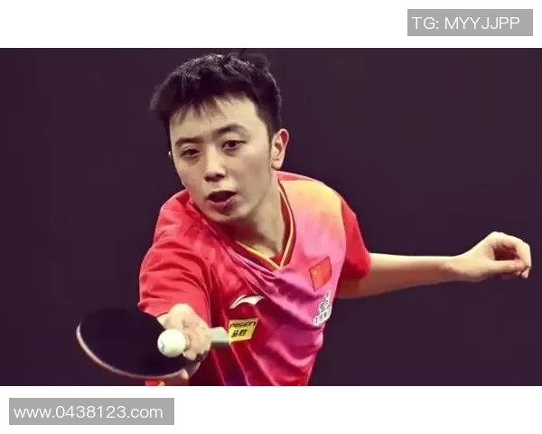 武汉羽毛球队总决赛技术表现分析与未来展望 武汉羽毛球队总决赛技术表现分析与未来展望