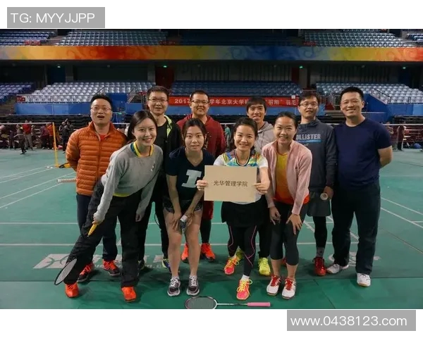 北京羽毛球队总决赛表现分析与状态评估全景回顾