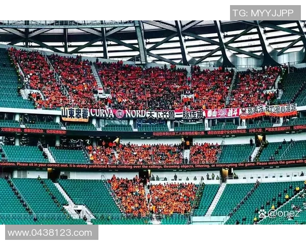 巴西足球明星球迷热情支持球队展现独特文化与激情