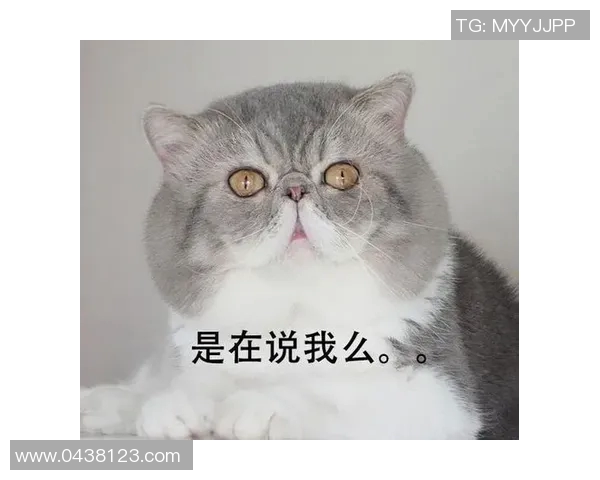 搞笑先生带你认识那些幽默搞笑的足球明星名字大揭秘 搞笑先生带你认识那些幽默搞笑的足球明星名字大揭秘