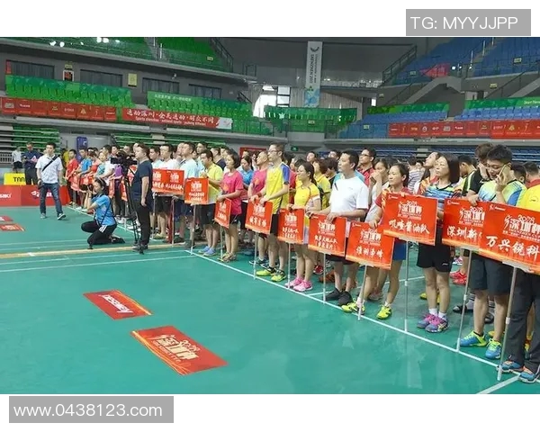 深圳羽毛球队成员个人能力深度对比分析及发展潜力探讨 深圳羽毛球队成员个人能力深度对比分析及发展潜力探讨