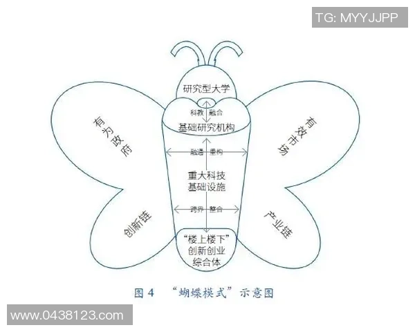 深圳网球队的战术创新与转换体系解析及其在比赛中的应用 深圳网球队的战术创新与转换体系解析及其在比赛中的应用